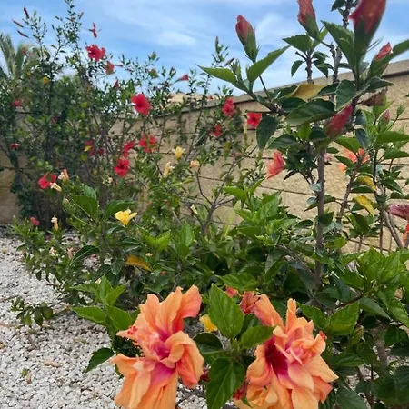 Huerto De Les Deveses * Dénia
